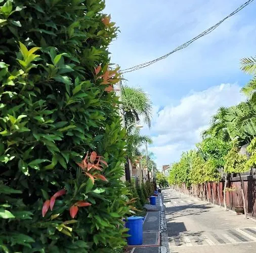 Jatimas 6